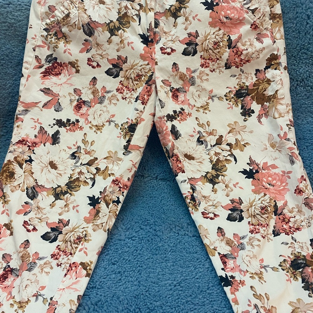Retrology woman’s floral pants size 2